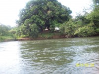 /album/galeria-de-fotos/rosy-291-jpg/